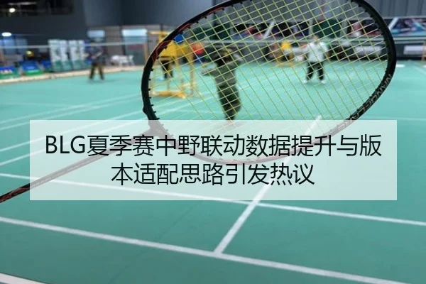 BLG夏季赛中野联动数据提升与版本适配思路引发热议